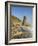 Shoreline and Seastacks, Ruby Beach, Olympic National Park, Washington, USA-Jamie & Judy Wild-Framed Photographic Print