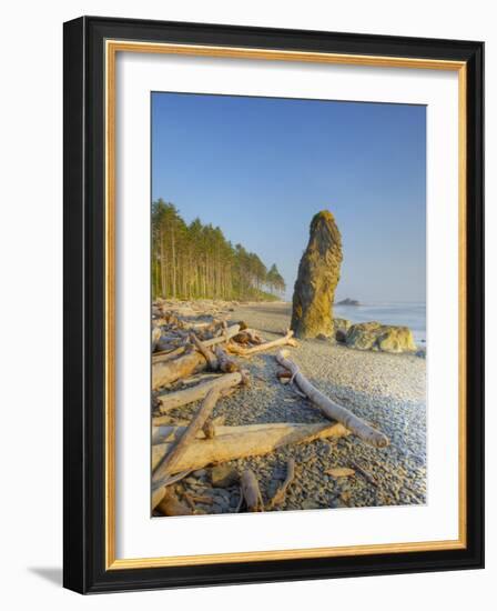 Shoreline and Seastacks, Ruby Beach, Olympic National Park, Washington, USA-Jamie & Judy Wild-Framed Photographic Print