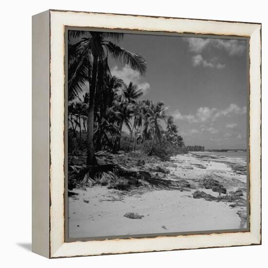 Shoreline at Bikini Atoll on Day of Atomic Bomb Test-Bob Landry-Framed Premier Image Canvas