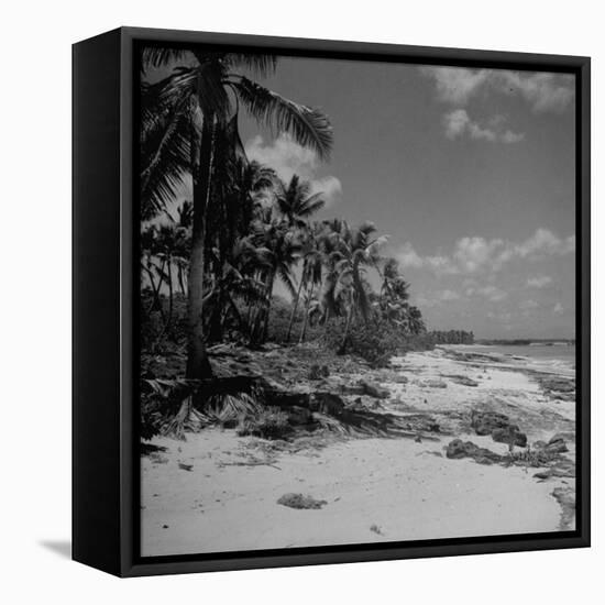 Shoreline at Bikini Atoll on Day of Atomic Bomb Test-Bob Landry-Framed Premier Image Canvas