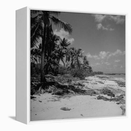 Shoreline at Bikini Atoll on Day of Atomic Bomb Test-Bob Landry-Framed Premier Image Canvas