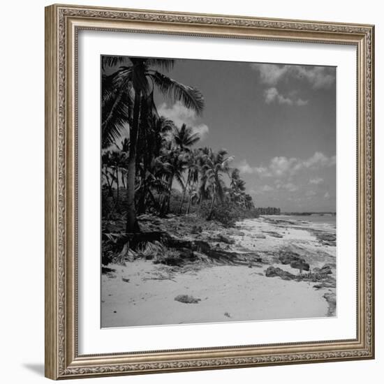 Shoreline at Bikini Atoll on Day of Atomic Bomb Test-Bob Landry-Framed Photographic Print