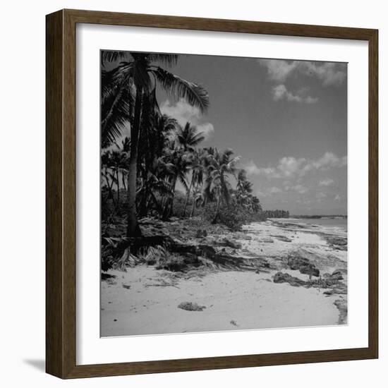 Shoreline at Bikini Atoll on Day of Atomic Bomb Test-Bob Landry-Framed Photographic Print