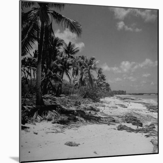 Shoreline at Bikini Atoll on Day of Atomic Bomb Test-Bob Landry-Mounted Photographic Print