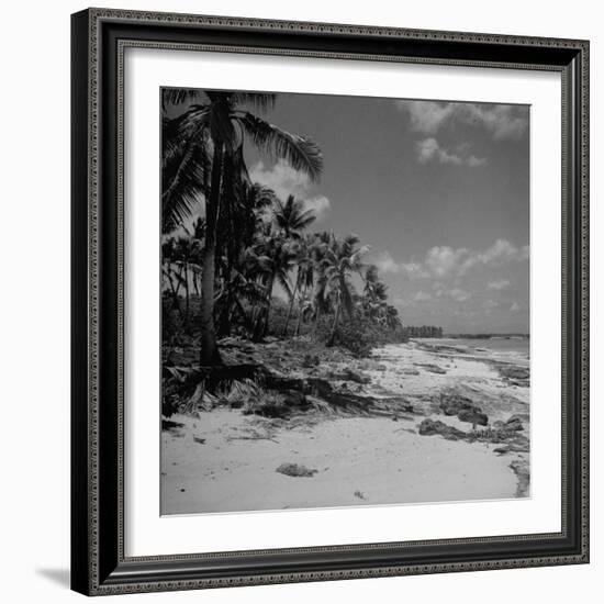 Shoreline at Bikini Atoll on Day of Atomic Bomb Test-Bob Landry-Framed Photographic Print