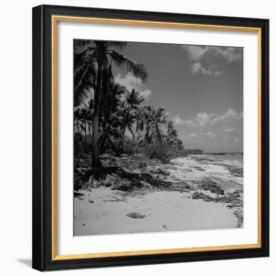 Shoreline at Bikini Atoll on Day of Atomic Bomb Test-Bob Landry-Framed Photographic Print