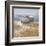 Shoreline Boat-Arnie Fisk-Framed Art Print