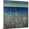 Shoreline Flowers II-Tim O'toole-Mounted Giclee Print