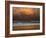 Shoreline Gold-Verne Varona-Framed Art Print