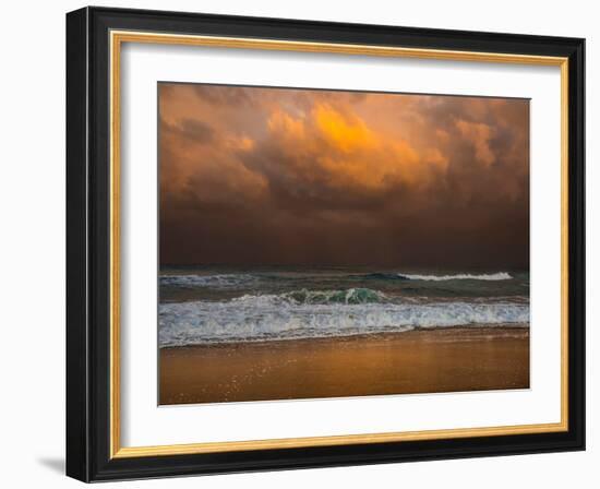 Shoreline Gold-Verne Varona-Framed Art Print