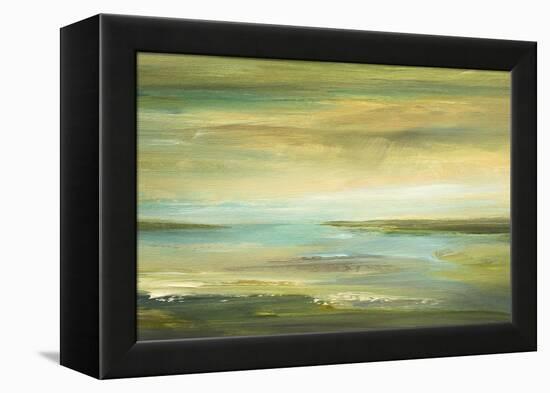 Shoreline II-Sheila Finch-Framed Stretched Canvas