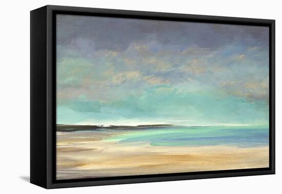 Shoreline IV-Sheila Finch-Framed Stretched Canvas