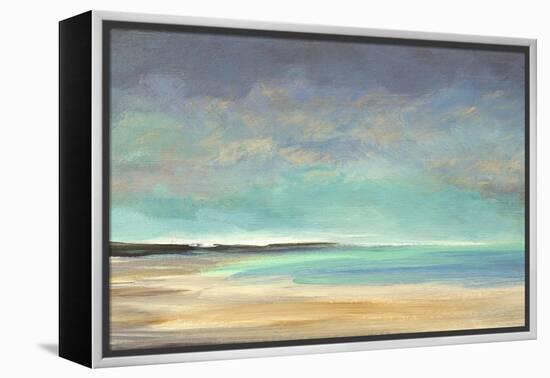 Shoreline IV-Sheila Finch-Framed Stretched Canvas