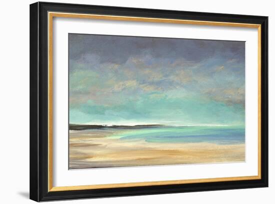 Shoreline IV-Sheila Finch-Framed Art Print