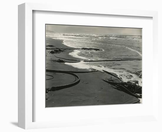 Shoreline, Kelp, San Francisco, 1938-Brett Weston-Framed Photographic Print