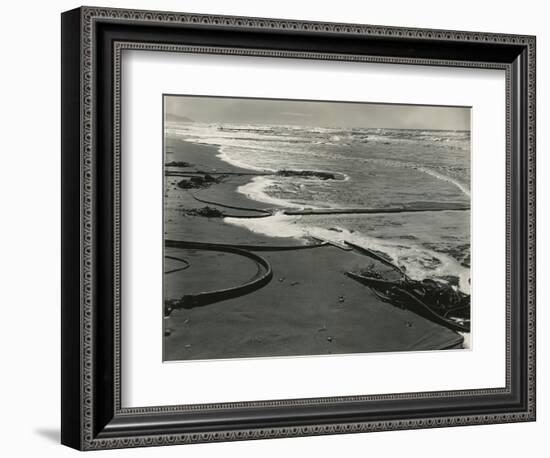Shoreline, Kelp, San Francisco, 1938-Brett Weston-Framed Photographic Print
