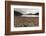 Shoreline Near Drake Passage, Tierra Del Fuego, Patagonia, Argentina-James White-Framed Photographic Print