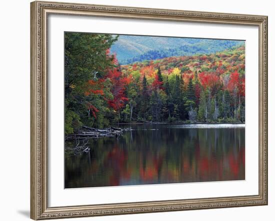 Shoreline of Heart Lake, Adirondack Park and Preserve, New York, USA-Charles Gurche-Framed Photographic Print