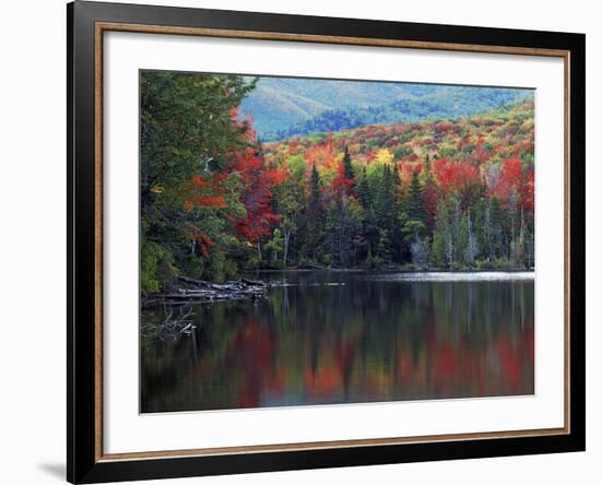 Shoreline of Heart Lake, Adirondack Park and Preserve, New York, USA-Charles Gurche-Framed Photographic Print