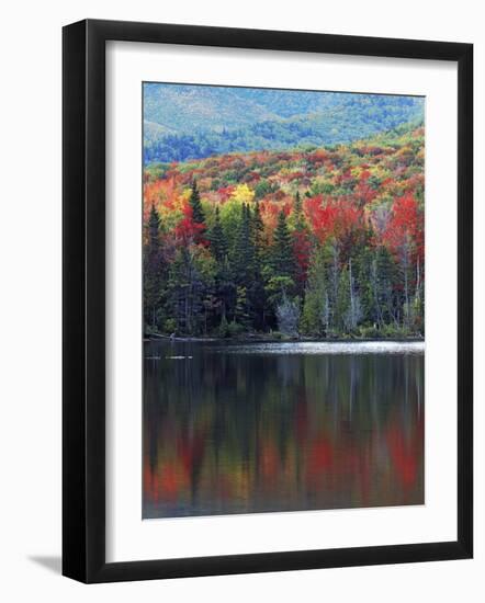 Shoreline of Heart Lake, Adirondack Park and Preserve, New York, USA-Charles Gurche-Framed Photographic Print