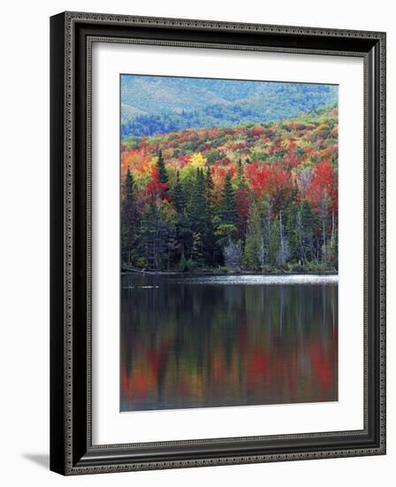 Shoreline of Heart Lake, Adirondack Park and Preserve, New York, USA-Charles Gurche-Framed Photographic Print