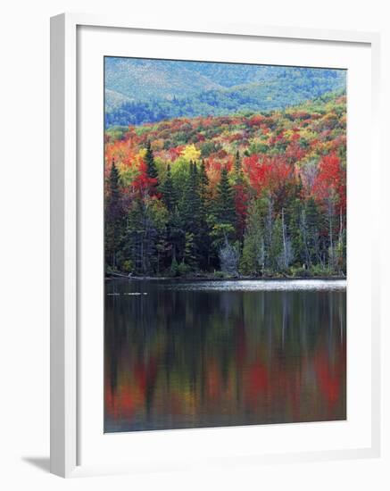 Shoreline of Heart Lake, Adirondack Park and Preserve, New York, USA-Charles Gurche-Framed Photographic Print