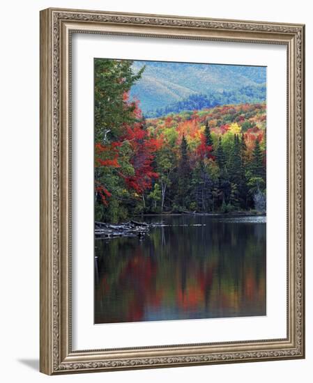 Shoreline of Heart Lake, Adirondack Park and Preserve, New York, USA-Charles Gurche-Framed Photographic Print