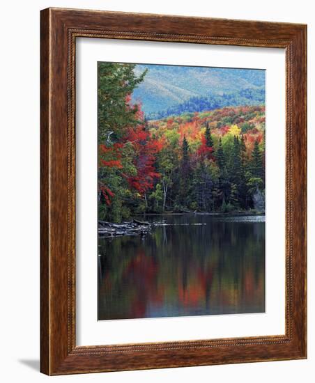 Shoreline of Heart Lake, Adirondack Park and Preserve, New York, USA-Charles Gurche-Framed Photographic Print