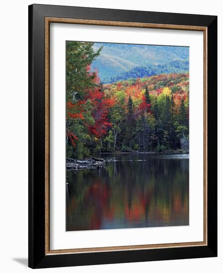 Shoreline of Heart Lake, Adirondack Park and Preserve, New York, USA-Charles Gurche-Framed Photographic Print