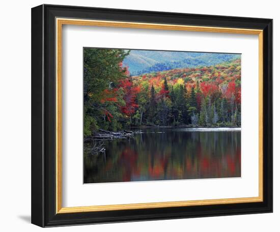 Shoreline of Heart Lake, Adirondack Park and Preserve, New York, USA-Charles Gurche-Framed Photographic Print