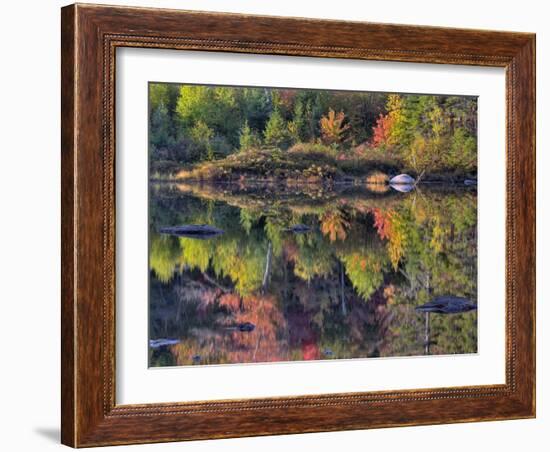 Shoreline Reflection, Lily Pond, White Mountain National Forest, New Hampshire, USA-Adam Jones-Framed Photographic Print