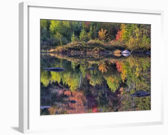 Shoreline Reflection, Lily Pond, White Mountain National Forest, New Hampshire, USA-Adam Jones-Framed Photographic Print