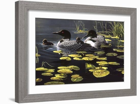 Shoreline Refuge - Loon Family-Wilhelm Goebel-Framed Giclee Print