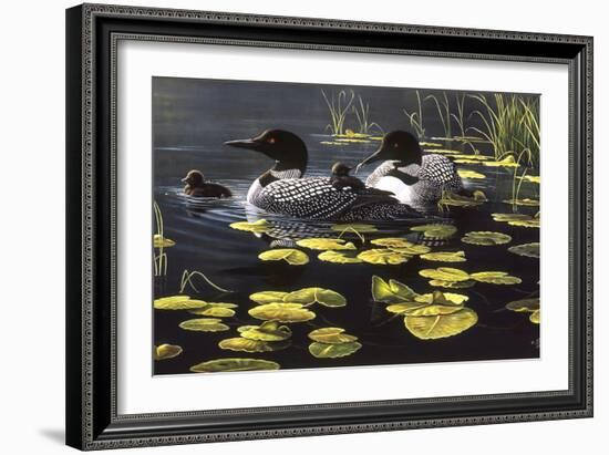 Shoreline Refuge - Loon Family-Wilhelm Goebel-Framed Giclee Print