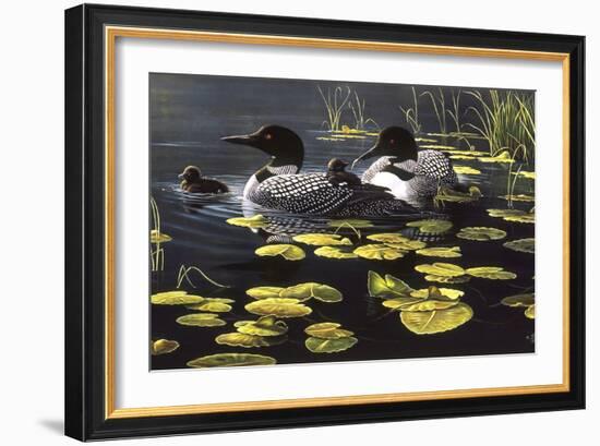 Shoreline Refuge - Loon Family-Wilhelm Goebel-Framed Giclee Print