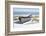 Shoreline Respite-Zhen-Huan Lu-Framed Giclee Print