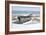 Shoreline Respite-Zhen-Huan Lu-Framed Art Print