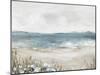 Shoreline Splendor I-Allison Pearce-Mounted Art Print