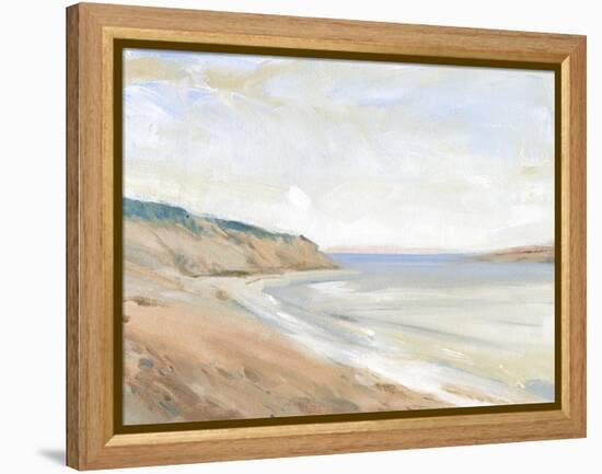 Shoreline Study I-Tim OToole-Framed Stretched Canvas