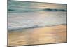 Shoreline Sunset-John Seba-Mounted Art Print