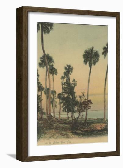 Shoreline view of Indian River with Palm Trees, Florida - Florida-Lantern Press-Framed Art Print