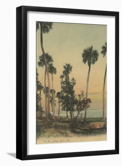 Shoreline view of Indian River with Palm Trees, Florida - Florida-Lantern Press-Framed Art Print