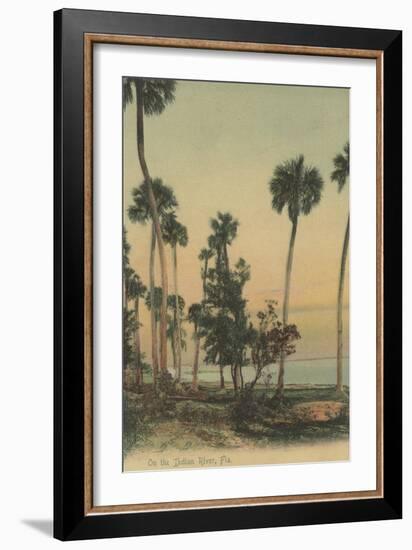 Shoreline view of Indian River with Palm Trees, Florida - Florida-Lantern Press-Framed Art Print