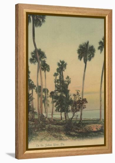 Shoreline view of Indian River with Palm Trees, Florida - Florida-Lantern Press-Framed Stretched Canvas