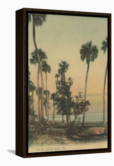 Shoreline view of Indian River with Palm Trees, Florida - Florida-Lantern Press-Framed Stretched Canvas