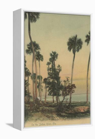 Shoreline view of Indian River with Palm Trees, Florida - Florida-Lantern Press-Framed Stretched Canvas