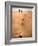 Shoremob-Craig Satterlee-Framed Photographic Print