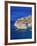 Shores of Adriatic Sea, Dubrovnik, Croatia-Keren Su-Framed Photographic Print