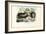 Short-Beaked Echidna, 1863-79-Raimundo Petraroja-Framed Giclee Print