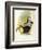 Short-Billed Toucan-John Gould-Framed Giclee Print